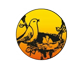 Kolte Patil Bhugaon
